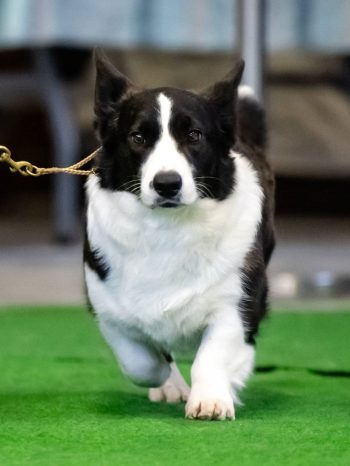 640307835_10241163739174790_6167296275121203909_n