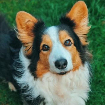 84b167d1-a427-4846-81b0-aad3c3f2a669